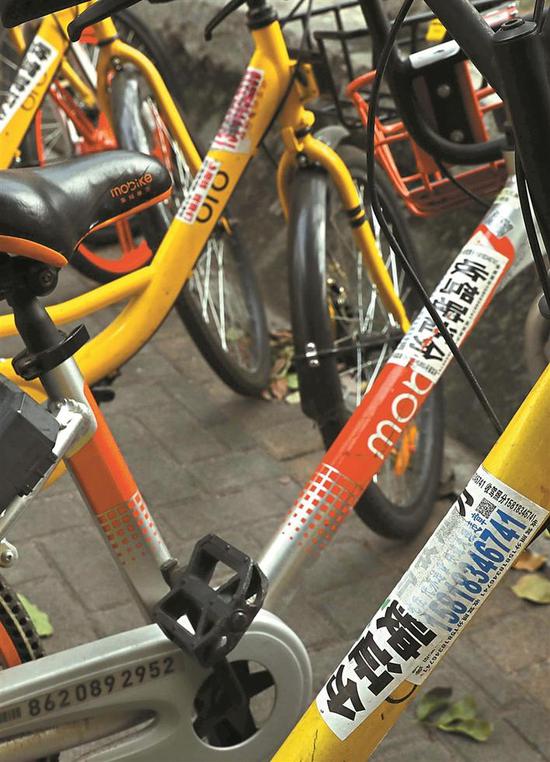 并排停放的多辆共享单车均被贴上了“牛皮癣”。