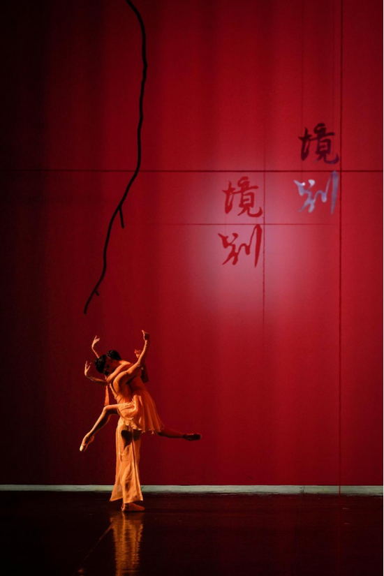 芭蕾x红楼=深圳年末艺术炸场！中央芭蕾舞团原创芭蕾舞剧《红楼梦》演绎传世文学经典！