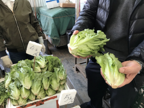 福田农批的蔬菜商户向记者展示云南生菜(大)与本地生菜的区别