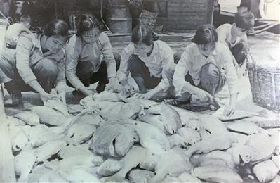 1974年由霍维新拍摄的几名打鱼妹腌制咸鱼的照片在国内流传甚广。