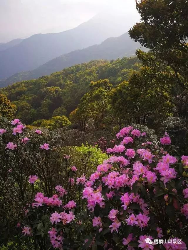 景区举办。