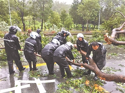 应急抢险队清理倒伏的树木。记者刘畅 通讯员温现青摄
