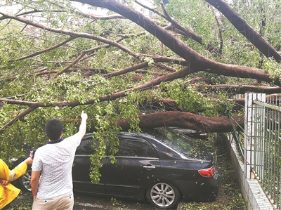 台风“山竹”给不少房屋车辆带来损害。