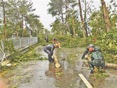 消防官兵在清理树木。