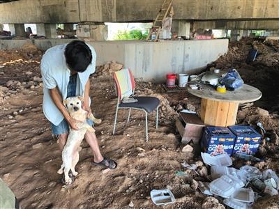 杨宇和收留的流浪狗一起，住在松岗的一处高架桥底。
