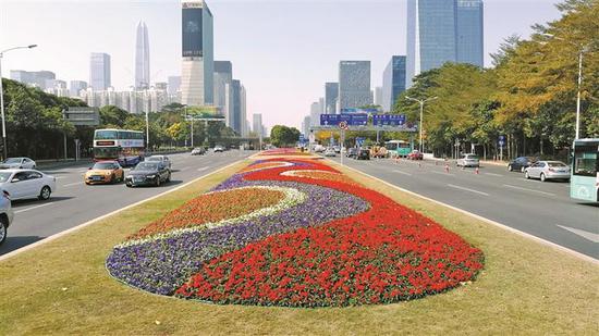 深南大道景观。本版图片除署名外均由深圳市城市管理局提供