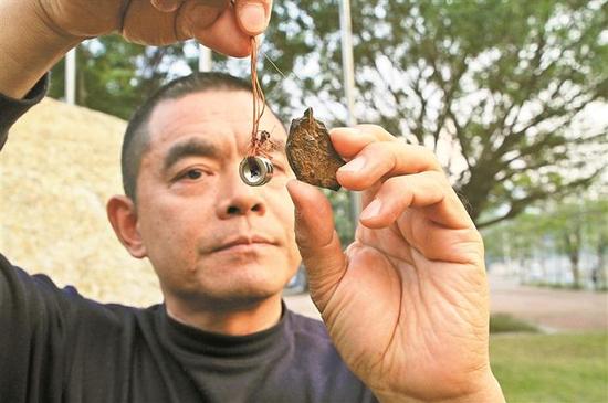 ▲段维正在观察这块石头。深圳晚报记者 杨端端 摄