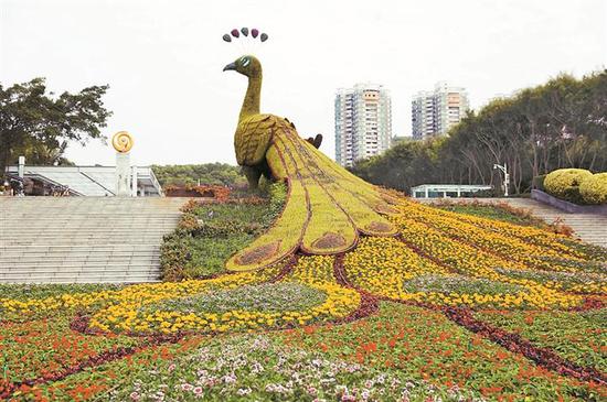 园博园新年布置的花卉景观。本版图片均由深圳晚报记者 陈玉 摄