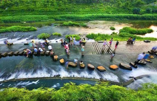 美丽的龙岗河水清岸绿、碧波荡漾