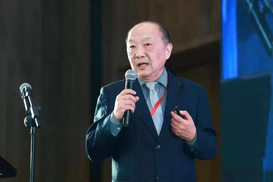 中国产业海外发展协会会长胡卫平作题为《今冬明春我国天然气供应中断风险的有关分析》的主旨发言