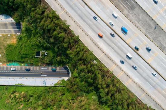 车来车往的高速公路