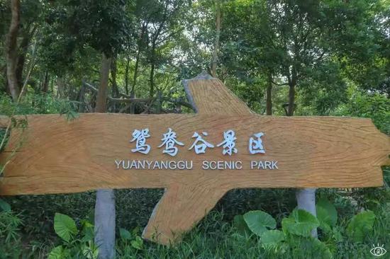 上图来自定格深圳