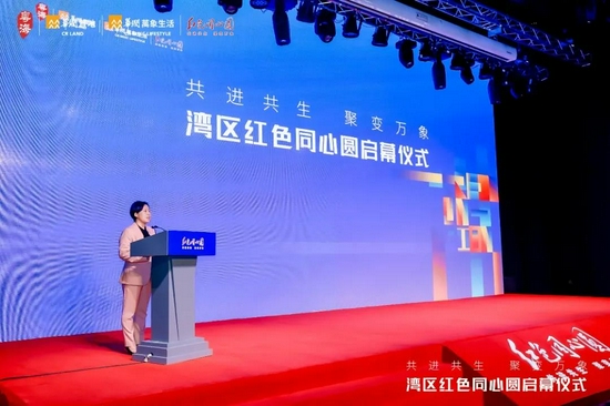 南山区区委常委、组织部部长王小蓉发言