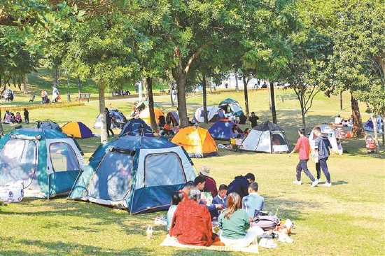 市民在深圳中心公园搭起帐篷。资料图片