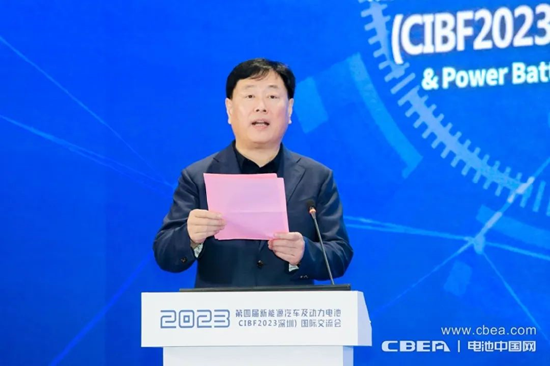 大会主席、中国化学与物理电源行业协会秘书长王泽深致辞
