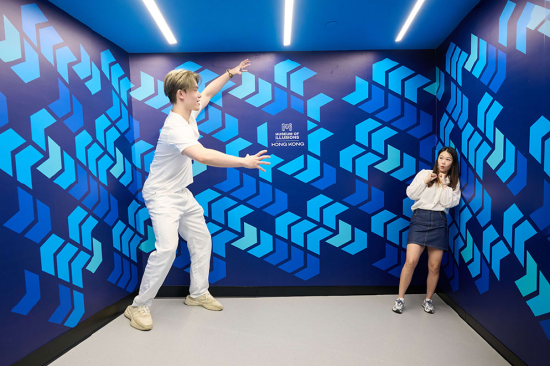 艾姆斯房间（Ames Room）