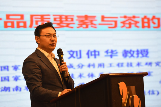 ▲刘仲华教授分享“茶叶品质要素与茶的营销亮点”