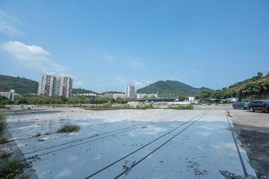  位于桃源街道龙珠大道一侧的闲置地块