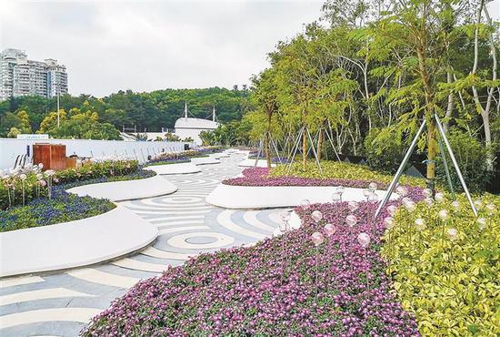 ▲园博园地下车库屋顶区域通过设置花境、艺术花坛,改造成趣味盎然的小游园。深圳晚报记者 冯明 摄