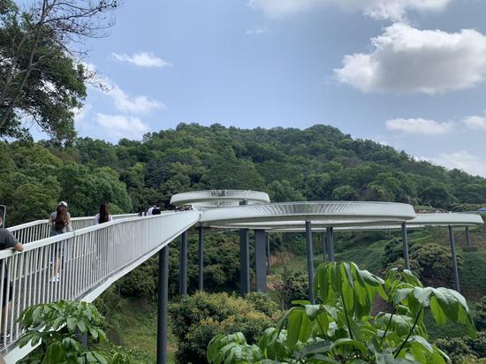 大顶岭森林公园浮桥