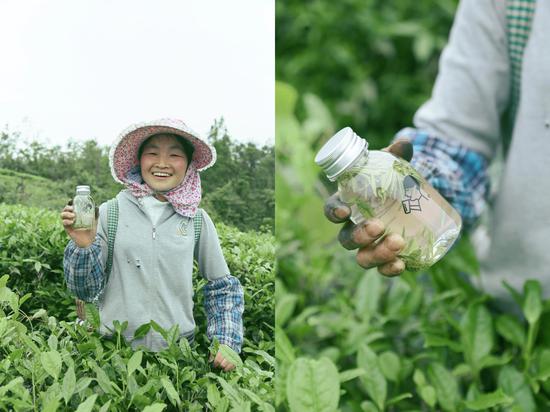 图注:喜茶贵州自有茶园