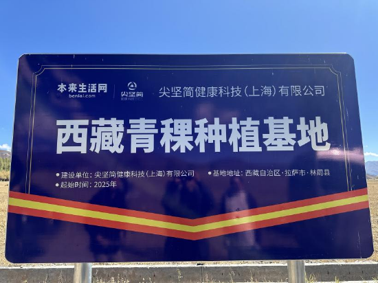 本来生活参与共建的西藏青稞种植基地