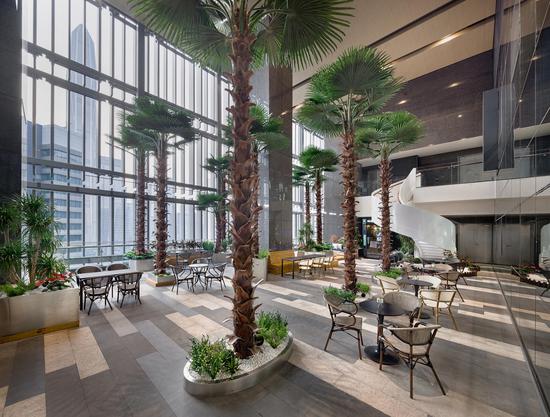 办公空间中的“亚热带”概念空中花园，为会员提供放松身心的休闲空间