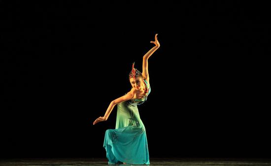 2017年首届深圳舞蹈月大幕开启 一起感受舞蹈