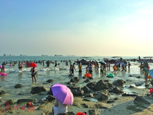 官湖海滩上礁石密布