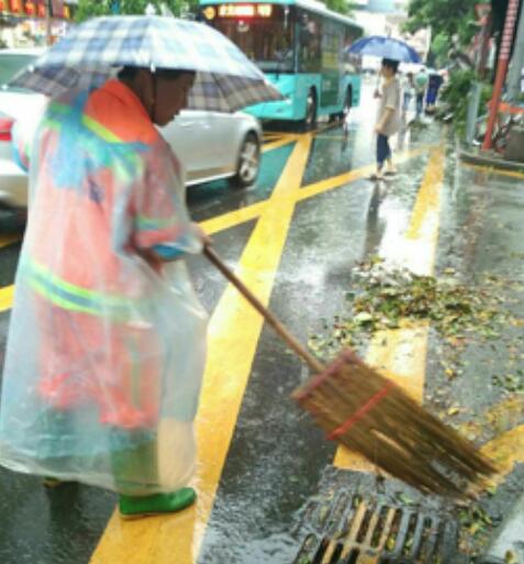 城市的美容师