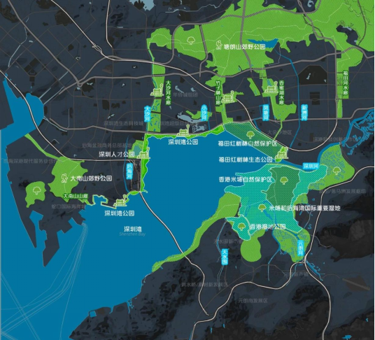图：朱荣远于报告展示，华侨城南部地区即深超总，是大湾区难得的区位