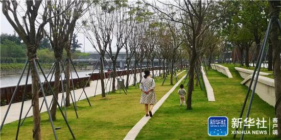 市民在深圳市南山区大沙河生态长廊散步/新华社记者白瑜摄