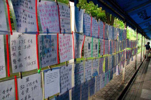 深圳外来人口男女比例_深圳男女比例(3)