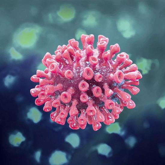新型冠状病毒示意图
（Lancet，2020）