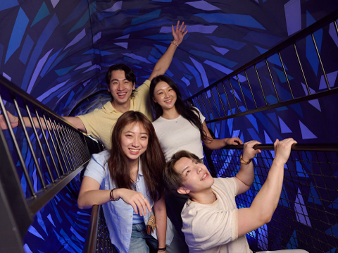 旋涡隧道（Vortex Tunnel）