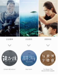 獐子岛品牌传播