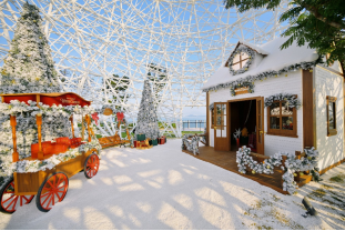 K11 ECOAST“海上明珠”化身 “巨型许愿水晶球”