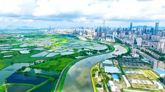(拍摄地点:深圳河)