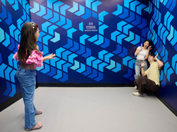 艾姆斯房间（Ames Room）