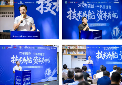 2025领创·千帆加速营|领导致辞