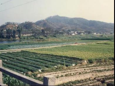 光明农场旧貌