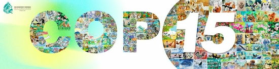 昆明联合国生物多样性大会（COP15）少儿集体画作
