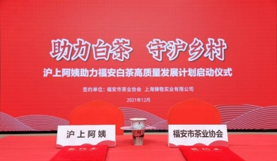 沪上阿姨助力福安白茶高质量发展计划启动仪式现场