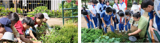 高校师生共同种植、辖区中小学生自然教育