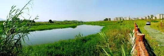 (拍摄地点:坪山河湿地公园)
