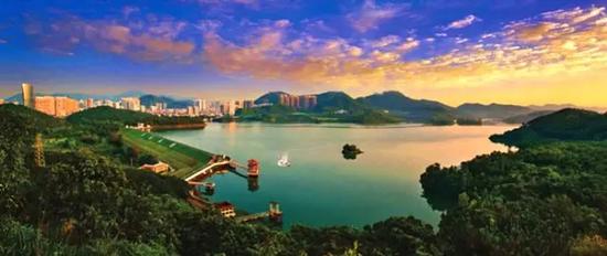 (拍摄地点:深圳水库)