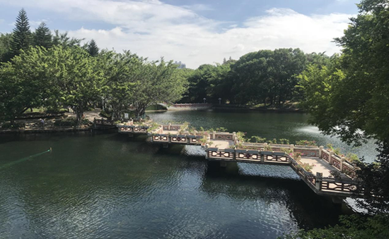 (深圳市龙岗区龙潭公园)