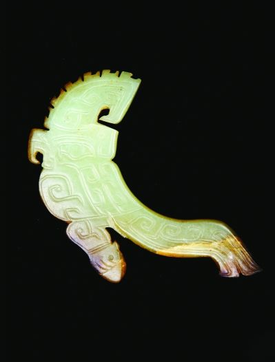 玉鹦鹉