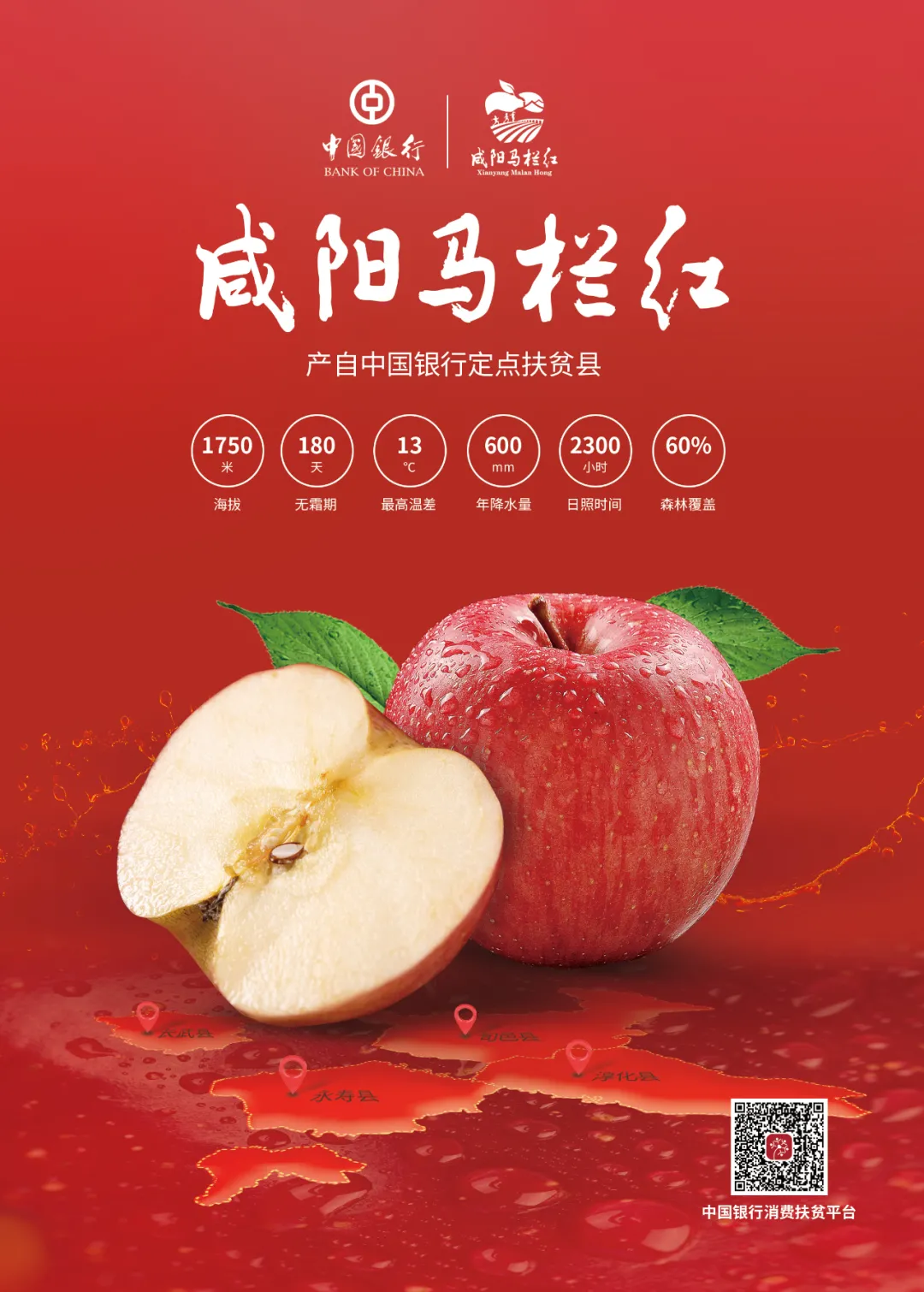 苹果新品种瑞香红的性状与特质 - 知乎