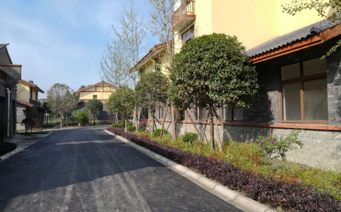 在邮储银行的支持下,彭镇木樨村建成美丽新村。